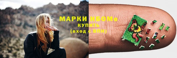 тгк Володарск