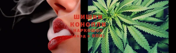 тгк Володарск